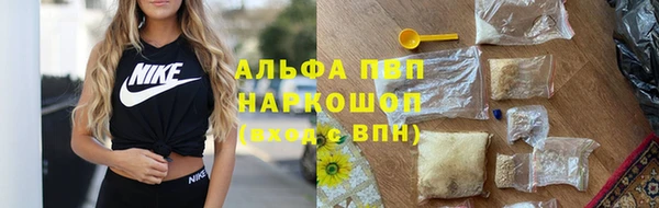 мяу мяу мука Аркадак