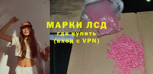 мяу мяу мука Аркадак