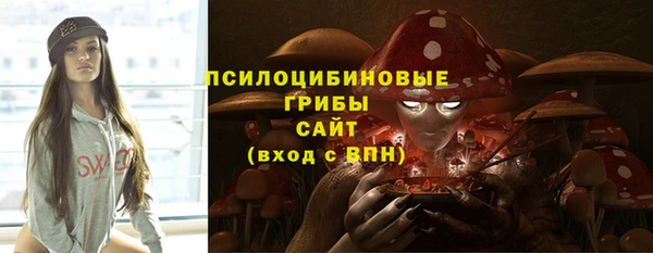 мяу мяу мука Аркадак