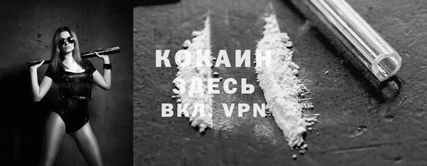 мяу мяу мука Аркадак
