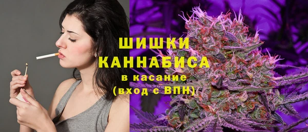 мяу мяу мука Аркадак