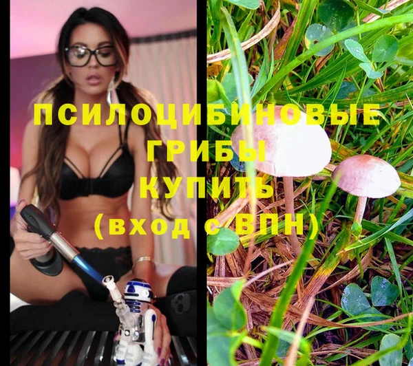 дурь Арсеньев