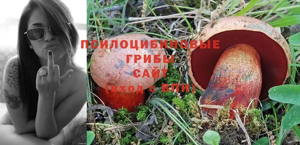 мяу мяу мука Аркадак